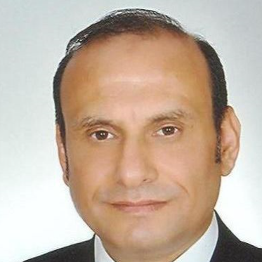 Prof. Dr. M. Levent ALTUN